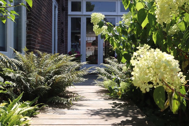 tuinontwerp Haarlem stadstuin